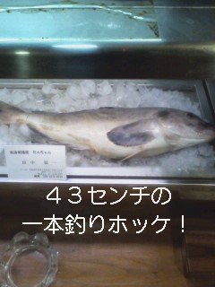 CA1UDON9.jpg