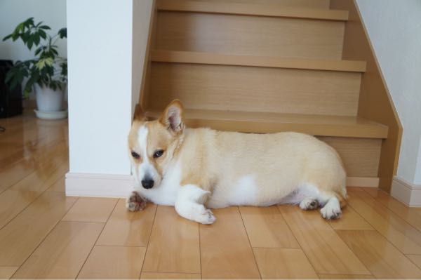 rblog-20160714214106-04.jpg