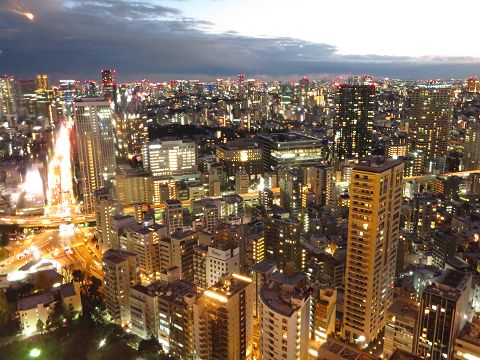 東京タワーから見える夜景 星とカワセミ好きのブログ 楽天ブログ