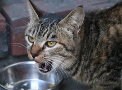 IMG_5872-15.jpg