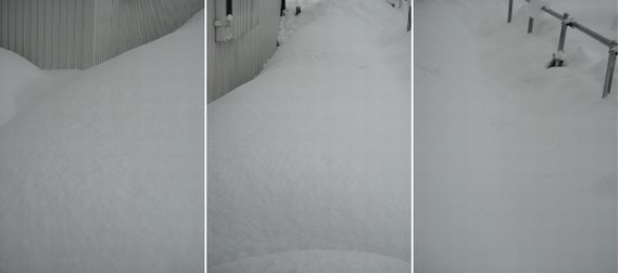 雪に埋もれた裏庭の不織布トンネル