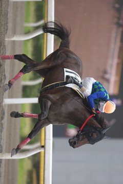ゴール