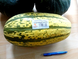 spagehttik