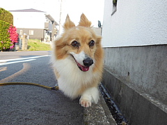 conv0840.JPG