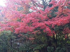 DSC_1925 - コピー.jpg