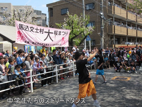 馬込文士村大桜まつり