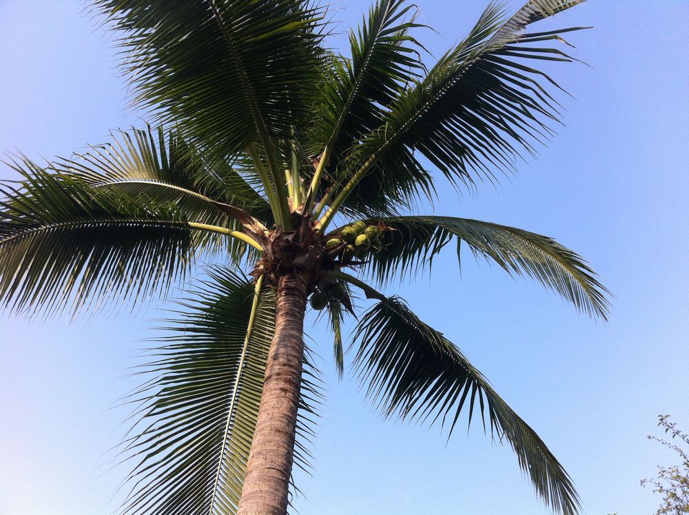 ここです 042.JPG