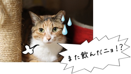 画像 583.jpg