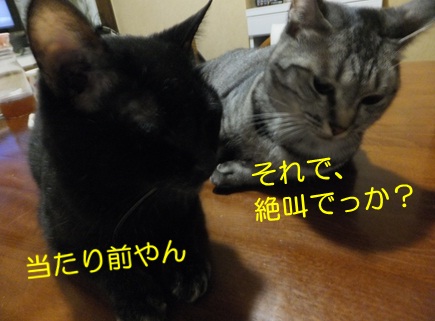 20120910_3.jpg