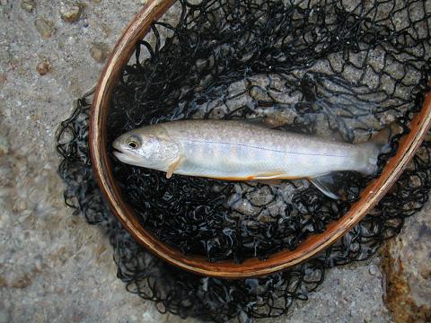 2012.09.01 015.jpg