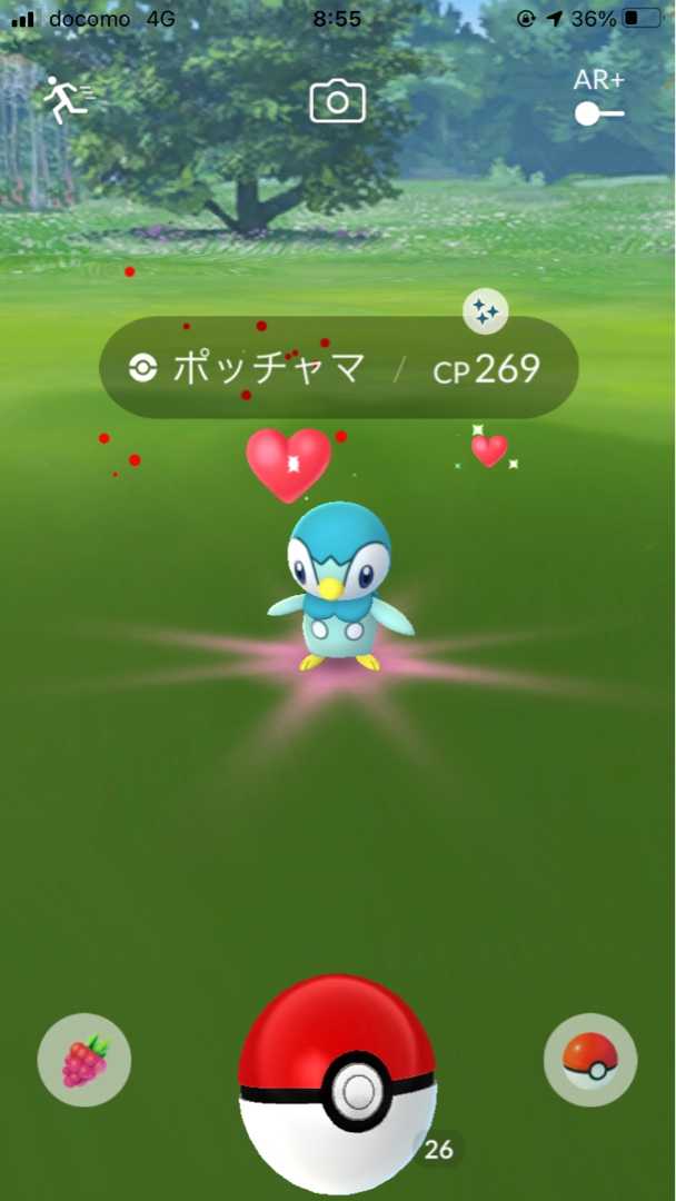 ポケモンgoの話 朝から色違い やえの日記 仕事と子育てと時々病気 楽天ブログ