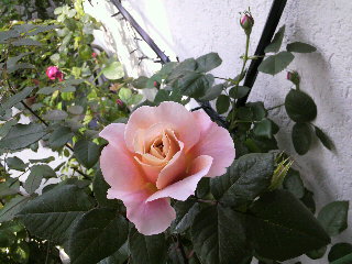 2012-04-20 08:30:21
