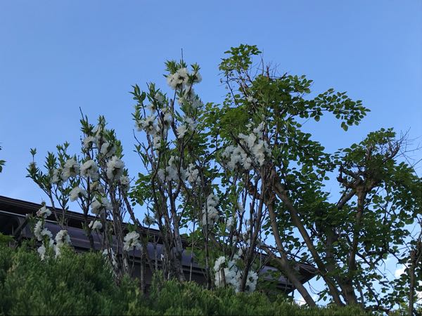 rblog-20180408180306-07.jpg