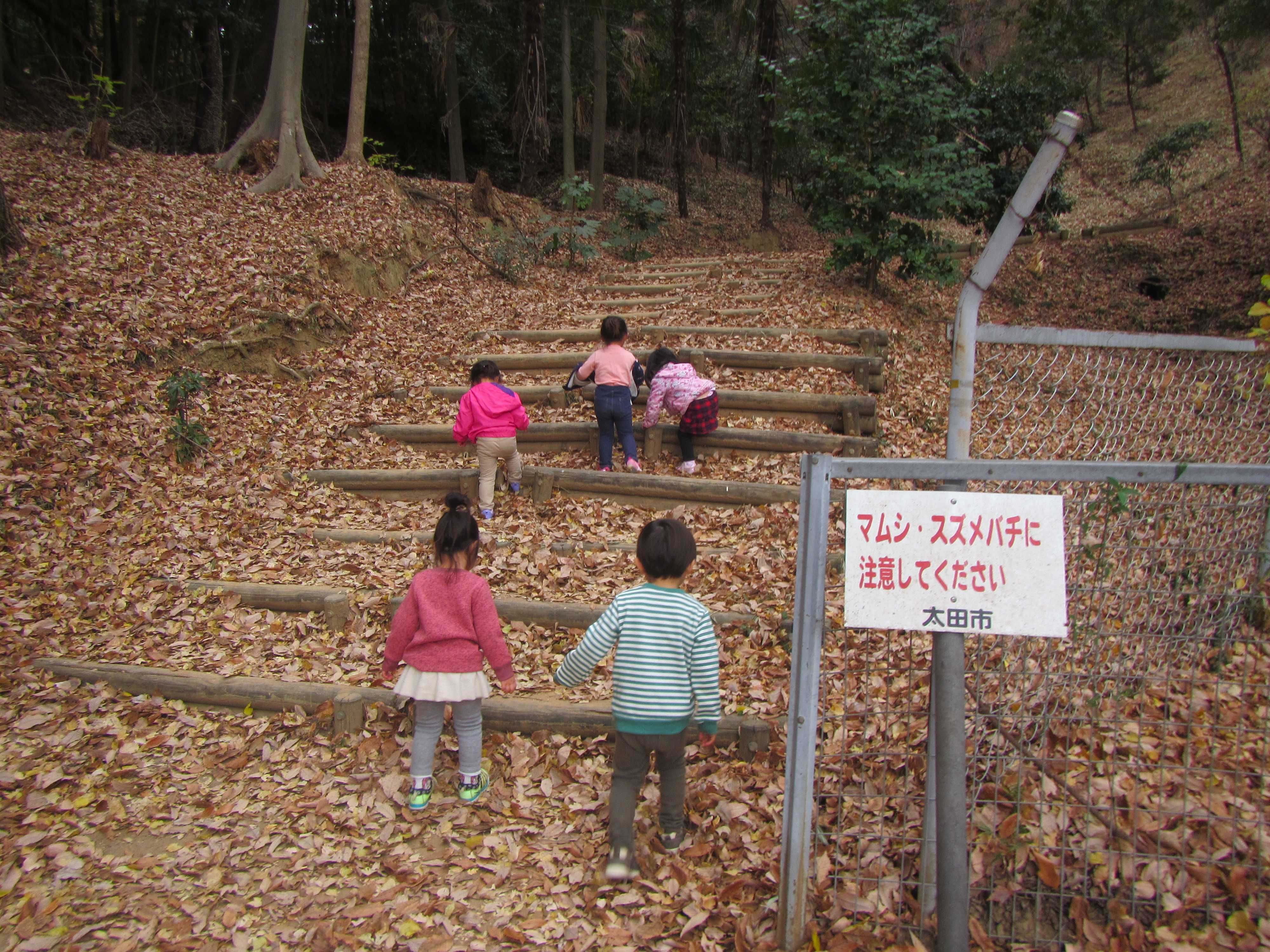 金山登山 | 認定こども園 アプリコット保育園 - 楽天ブログ