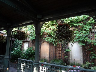 DSC01350.jpg