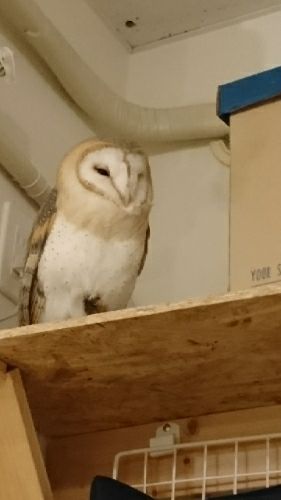 rblog-20180214194818-01.jpg