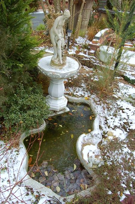 DSC_0046.JPG