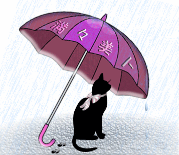 昼間傘猫