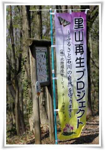 平栗-3 幟 13.4.13