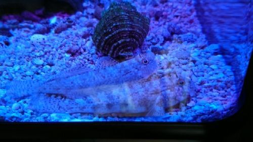 rblog-20170623163422-02.jpg