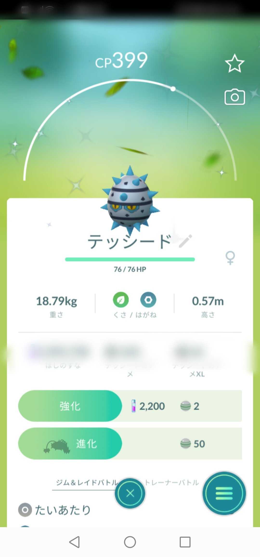 色違いテッシードとモンメンがきたー You Your You Yours 楽天ブログ