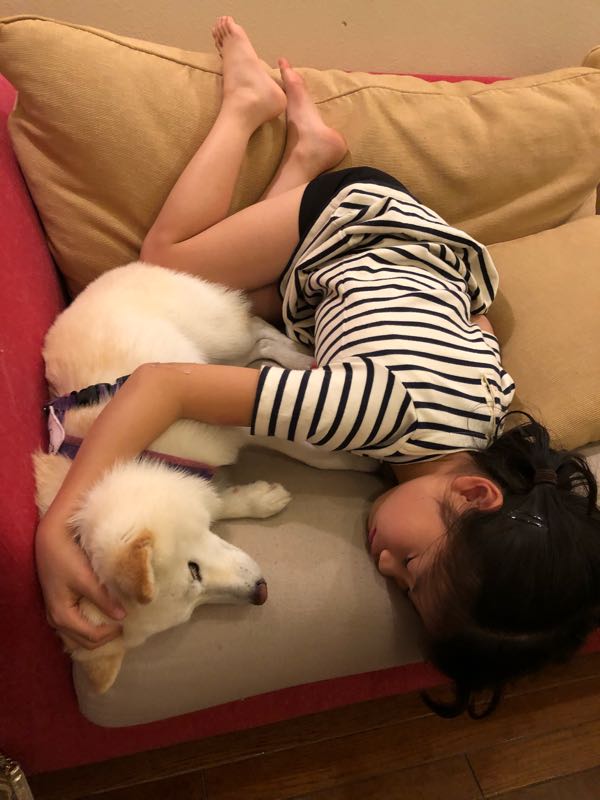 rblog-20180504103542-07.jpg
