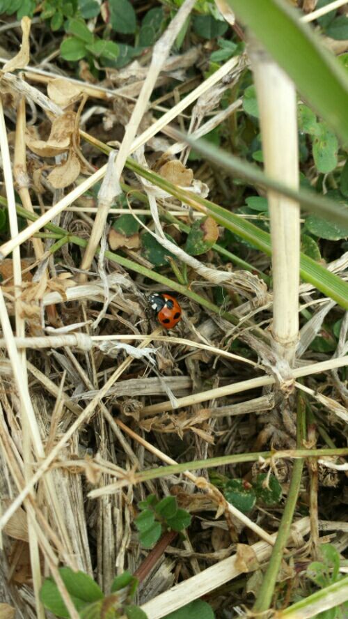rblog-20160306114631-01.jpg