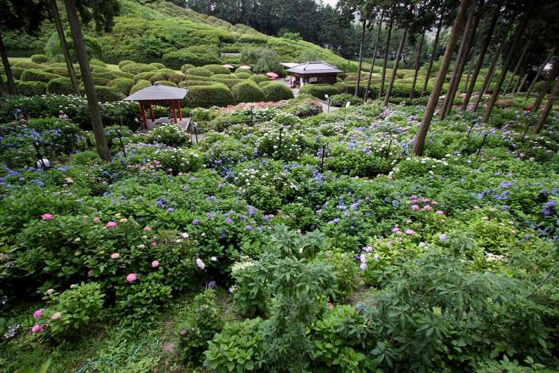 三室戸寺_003.jpg