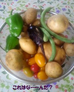 2012073107490000.jpg
