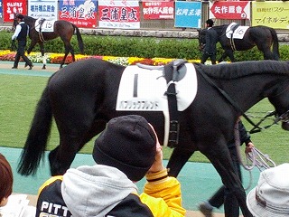 馬.jpg