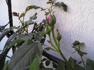 2012-04-20 10:14:27