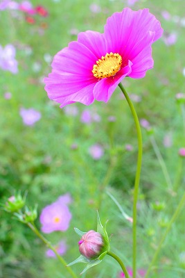 s-DSC_5371.jpg