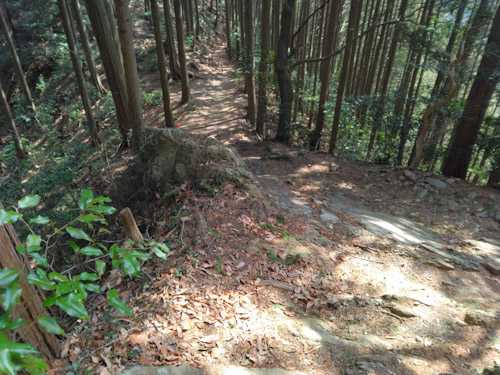 リハビリ登山は奥武蔵越生町の越上山(おがみやま)566m | やっぱり山と花が好き - 楽天ブログ