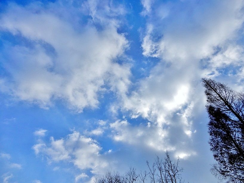 空2