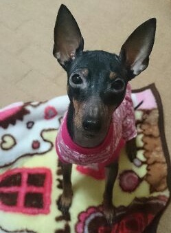 1392050356056.jpg