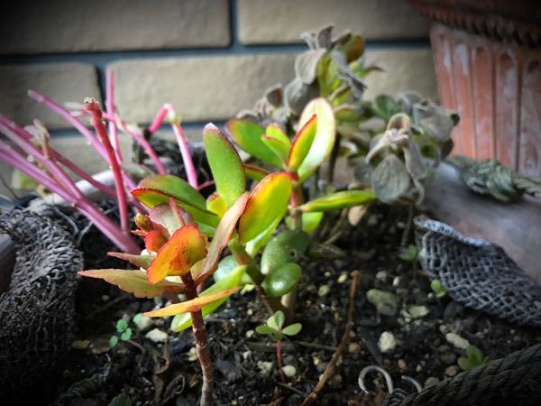rblog-20161128165148-09.jpg
