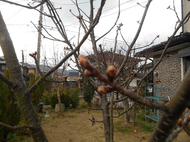 DSCN1674.JPG