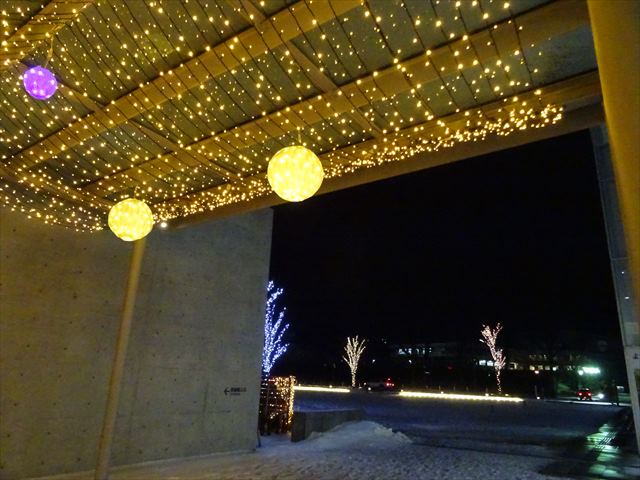 DSC09555_R.JPG