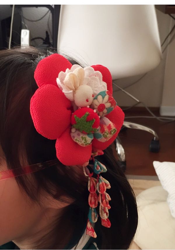 rblog-20160209164503-00.jpg