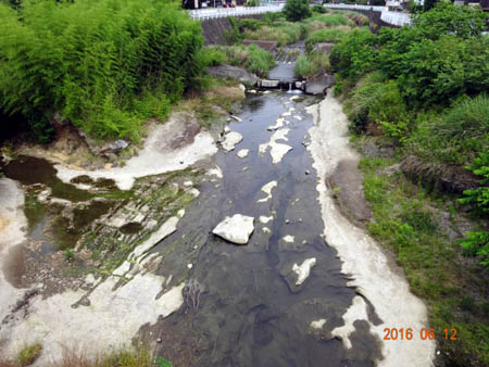 川口川.jpg