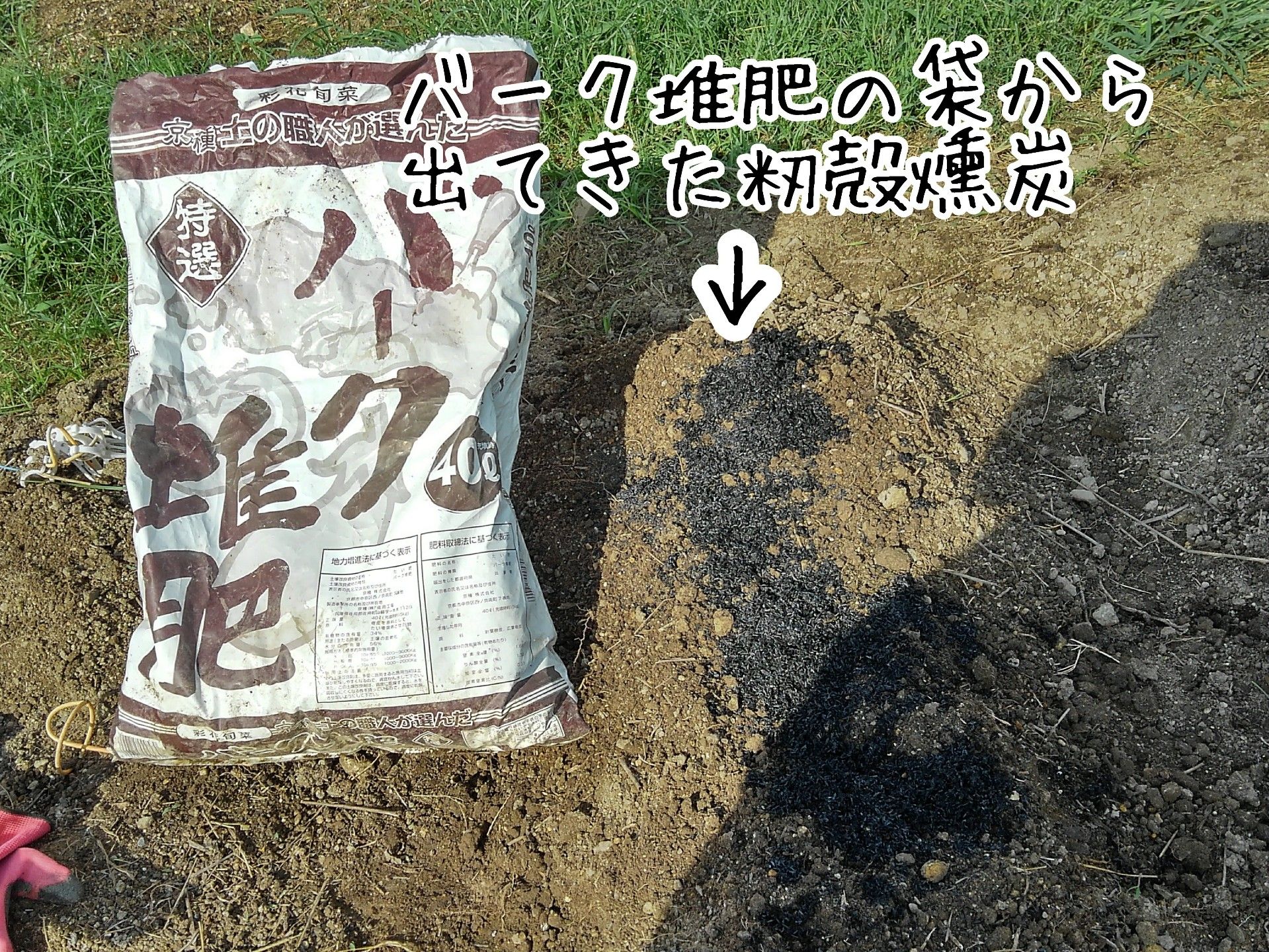 野菜作りは土作りにはじまり土作りに終わる らしい 農園ときどき猫 楽天ブログ