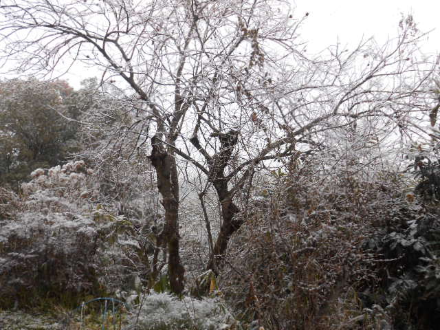 DSCN0874.JPG