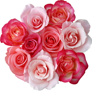 flower4247.jpg