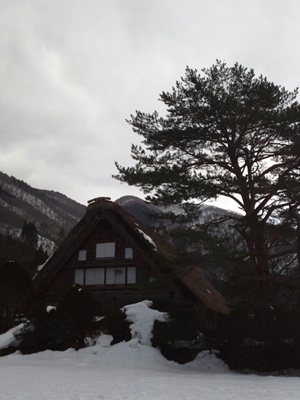 CYMERA_20140202_164207.jpg