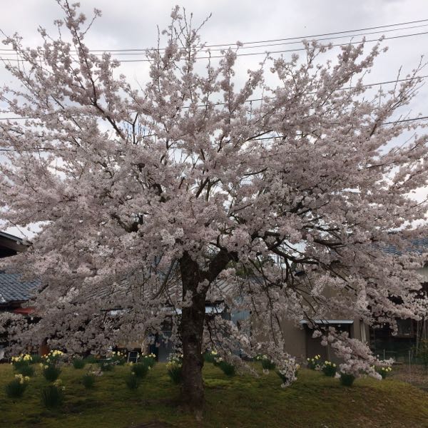 rblog-20160403145946-02.jpg