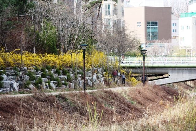 20140330 kaenari 1.jpg