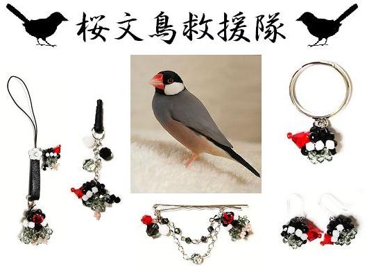 桜文鳥.jpg