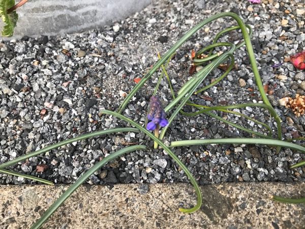 rblog-20190324174614-09.jpg