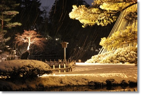 兼六園ライトアップ　・冬の段-7 14.2.4
