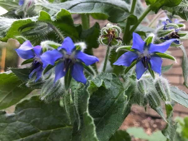 rblog-20181108170359-06.jpg